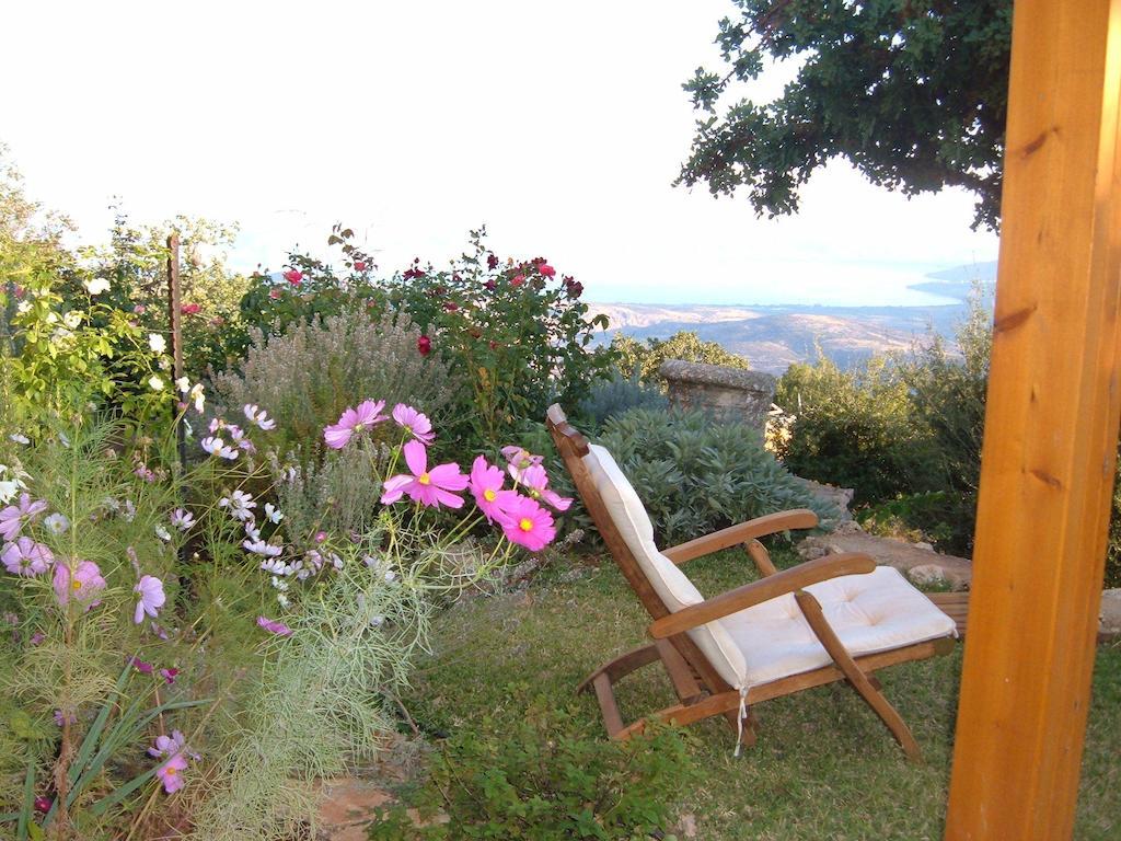 Willa Rose Garden - Gan Vradim Amirim Zewnętrze zdjęcie